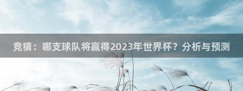 竞猜：哪支球队将赢得2023年世界杯？分析与预测