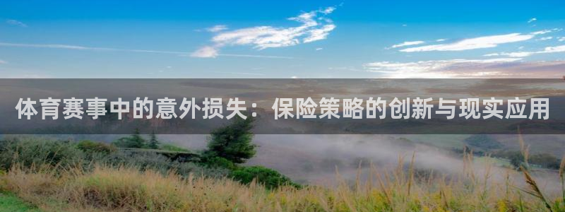体育赛事中的意外损失：保险策略的创新与现实应用