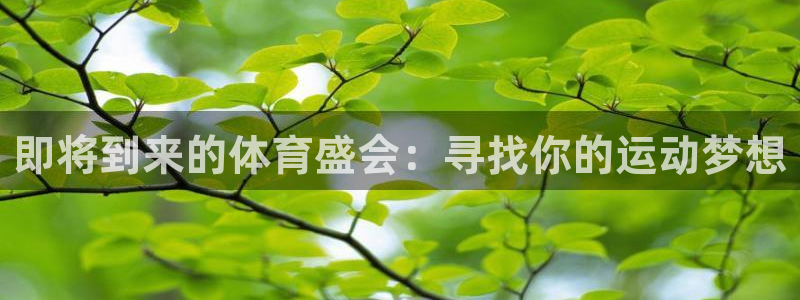 即将到来的体育盛会：寻找你的运动梦想