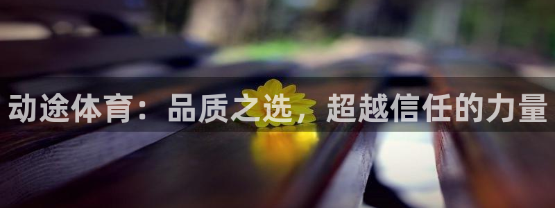 动途体育：品质之选，超越信任的力量