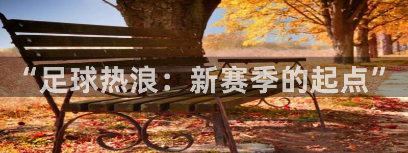 “足球热浪：新赛季的起点”