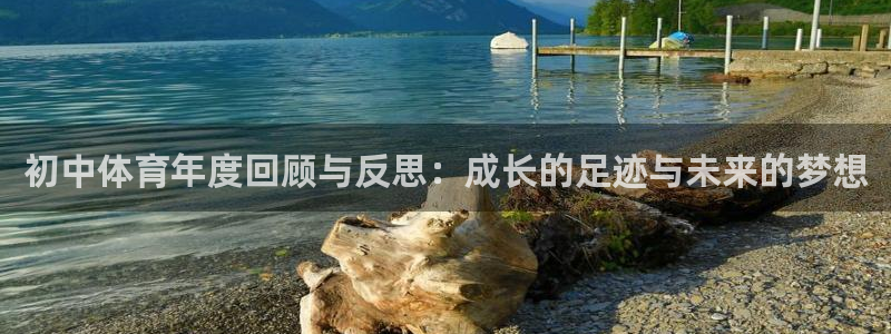 初中体育年度回顾与反思：成长的足迹与未来的梦想