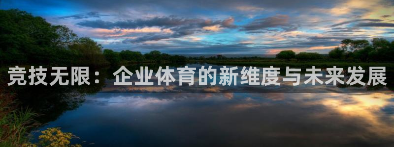 竞技无限：企业体育的新维度与未来发展