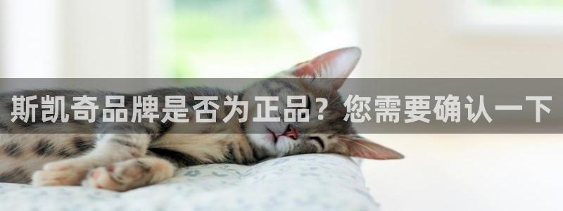 斯凯奇品牌是否为正品？您需要确认一下