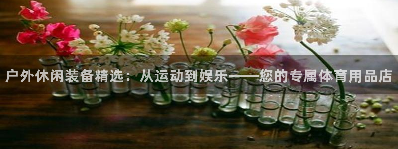 户外休闲装备精选：从运动到娱乐——您的专属体育用品店