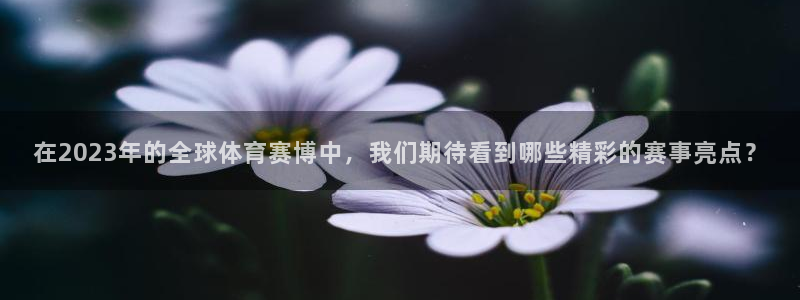 在2023年的全球体育赛博中，我们期待看到哪些精彩的赛事亮点？